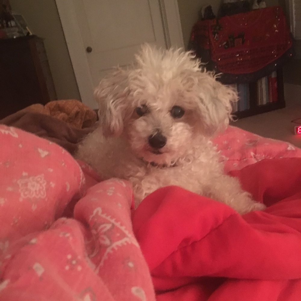 Meet your Posher, Sue